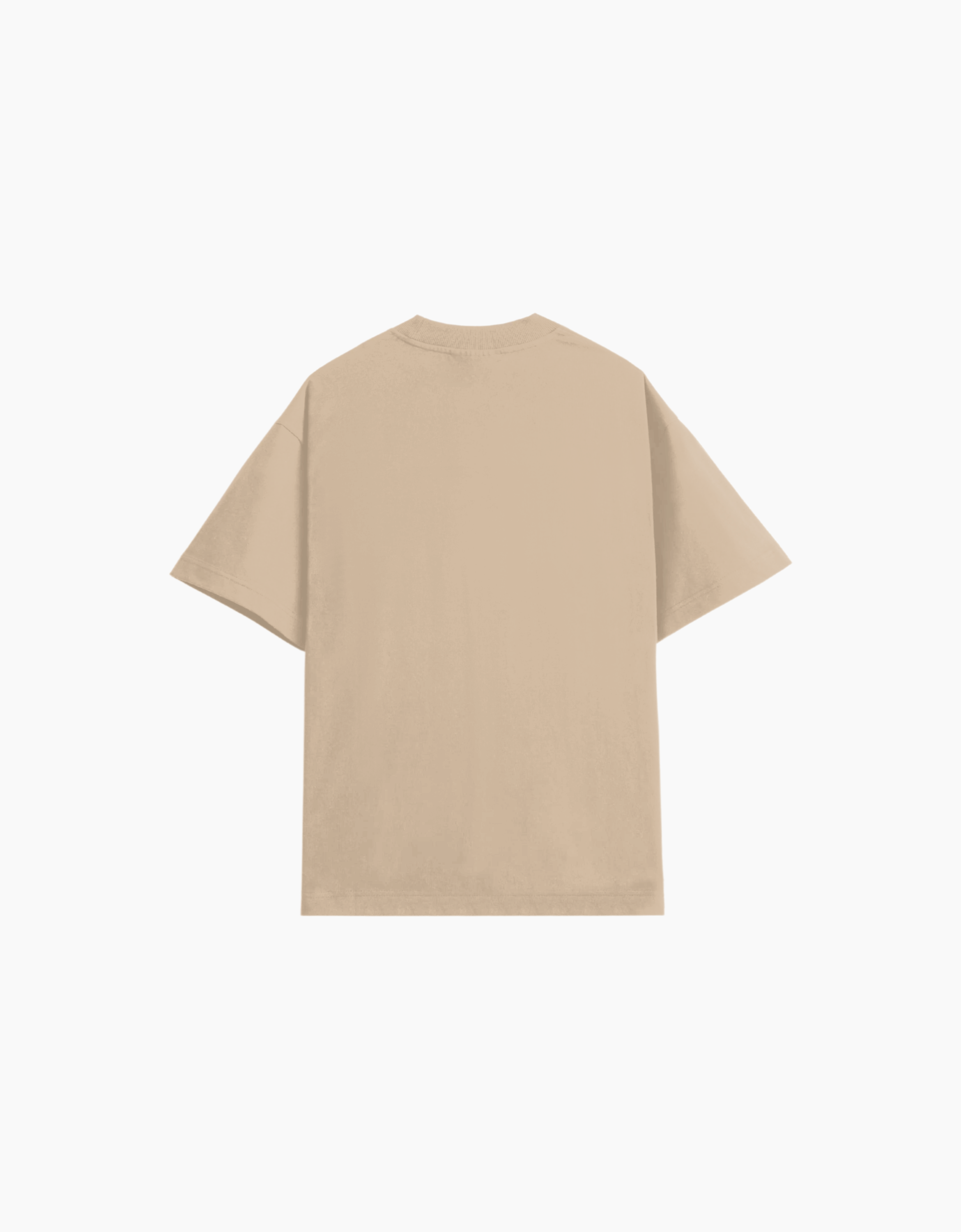 UNIVERSITY OVERSIZED FIT T-SHIRT