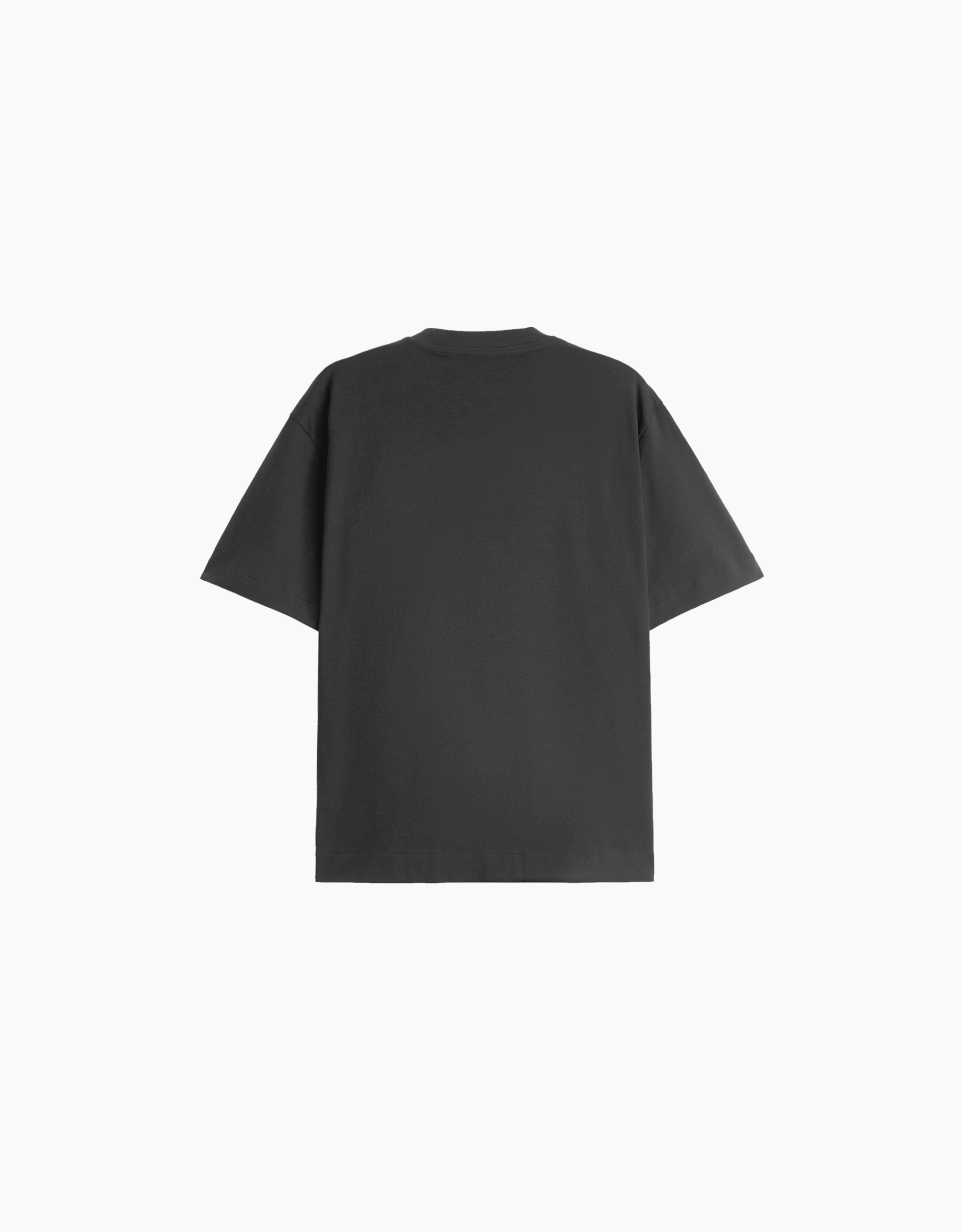 PERSEVERANCE OVERSIZED FIT T-SHIRT